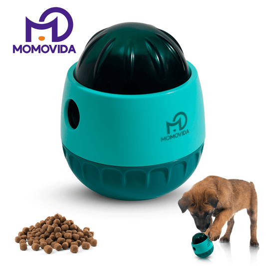 Caja de Regalo Sorpresa (Producto para mascotas)